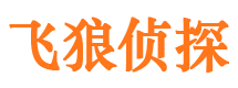 万载市私家侦探